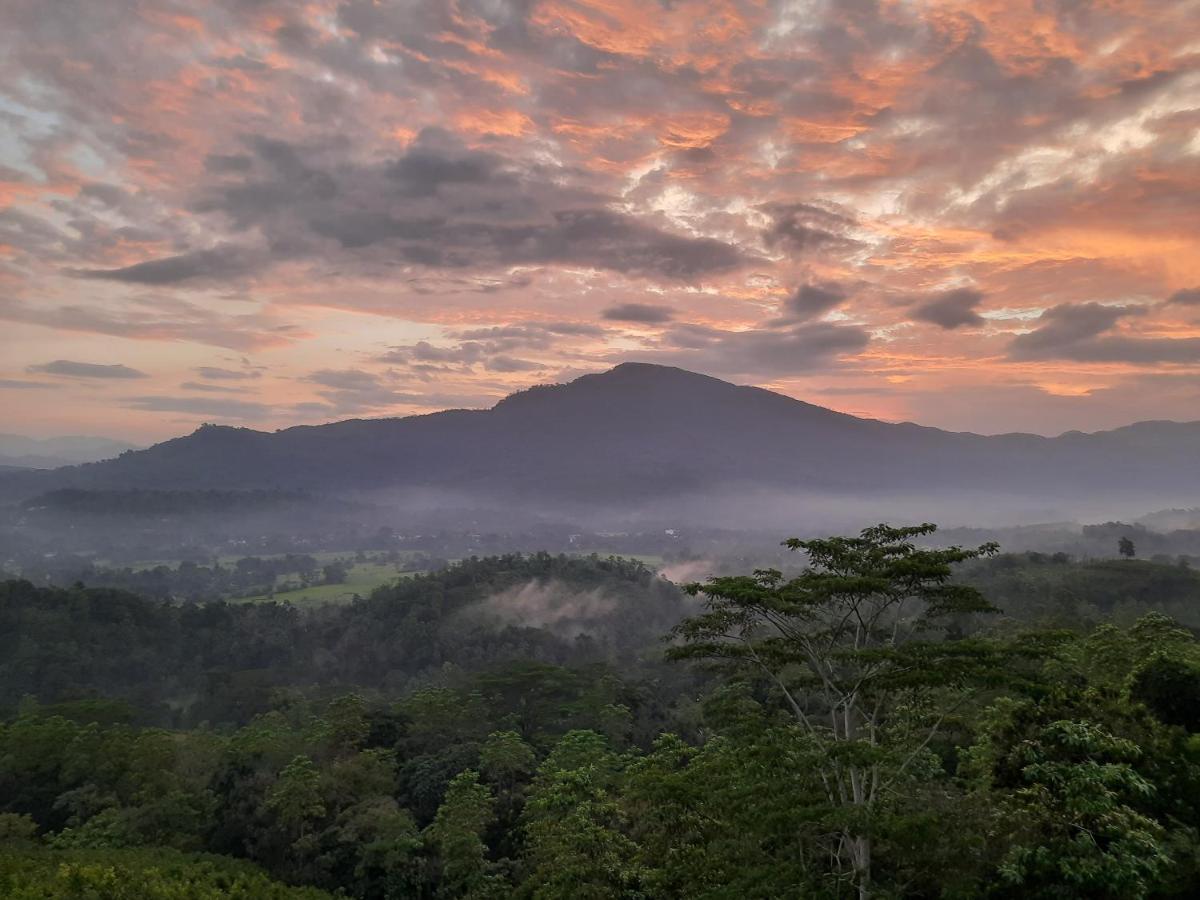 Terrace Cinnamon View Ratnapura Εξωτερικό φωτογραφία