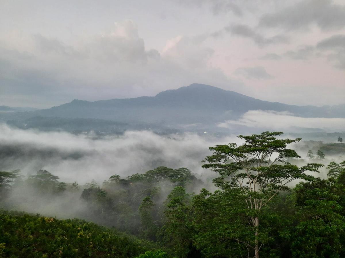 Terrace Cinnamon View Ratnapura Εξωτερικό φωτογραφία